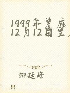 1999年农历12月12日生辰八字