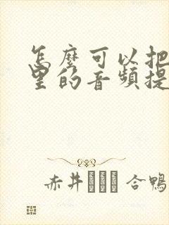 怎么可以把视频里的音频提取出来