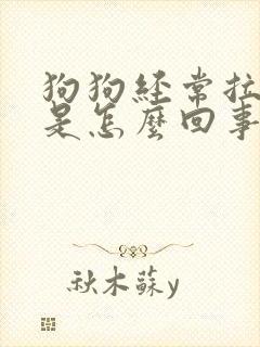 狗狗经常拉软便是怎么回事