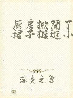 厨房掀开了岳母裙子挺进小说