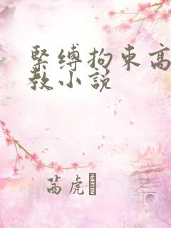 紧缚拘束高潮调教小说