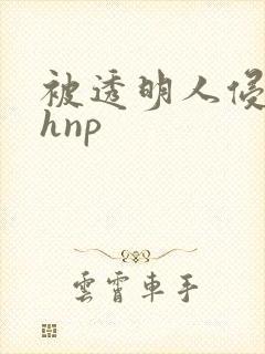被透明人侵犯高hnp