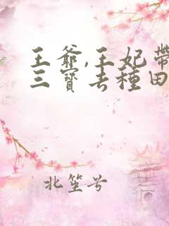 王爷,王妃带着三宝去种田去了