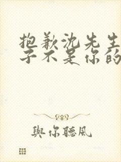 抱歉沈先生这孩子不是你的短剧全集