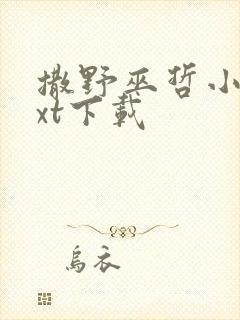 撒野巫哲小说txt下载