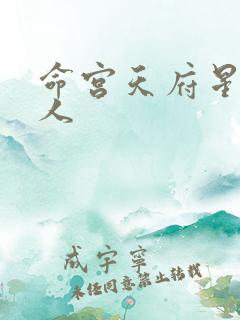 命宫天府星的男人