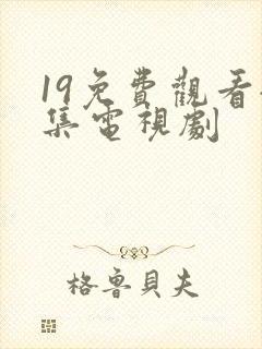 19免费观看全集电视剧