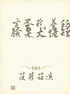 完蛋我养的小白脸是大佬短剧下载