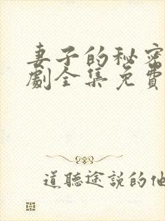 妻子的秘密电视剧全集免费观看完整版