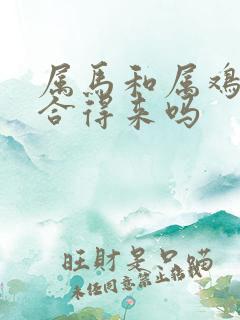属马和属鸡的人合得来吗