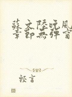 苏文陆晚风最新章节无弹窗笔趣阁