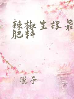 辣椒生根最快的肥料
