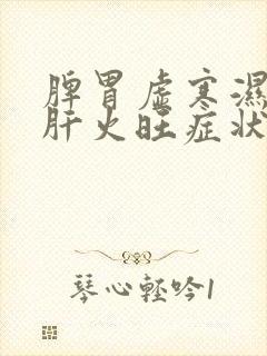 脾胃虚寒湿气重肝火旺症状