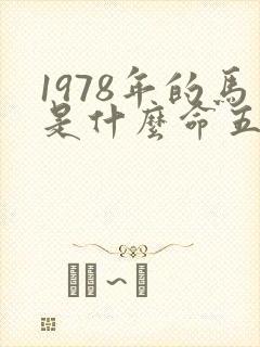 1978年的马是什么命五行属性