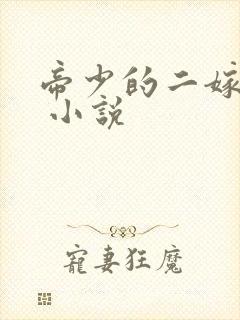 帝少的二嫁萌妻 小说