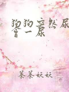 狗狗突然尿频一会一尿