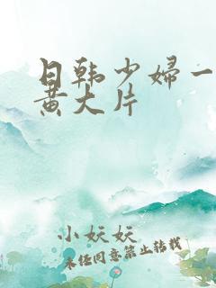 日韩少妇一级特黄大片