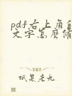 pdf右上角的文字怎么修改