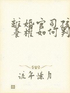 离婚官司孩子抚养权如何判定
