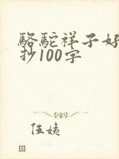 骆驼祥子好段摘抄100字