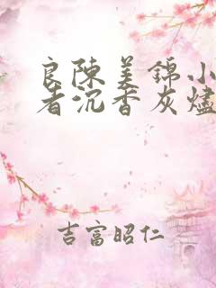 良陈美锦小说作者沉香灰烬