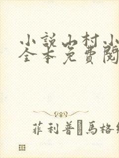 小说山村小农民全本免费阅读