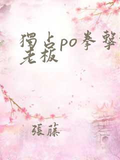 独占po拳击馆老板