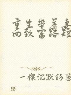 重生带着妻儿走向致富路短剧100集免费观看