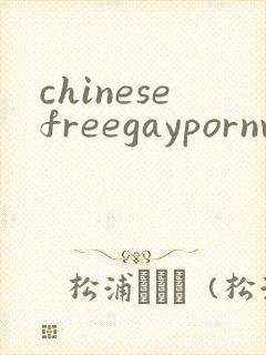 chinesefreegaypornvideo