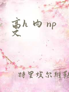 高h 肉 np文