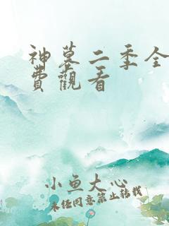 神墓二季全集免费观看