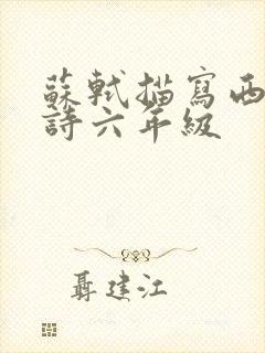 苏轼描写西湖的诗六年级