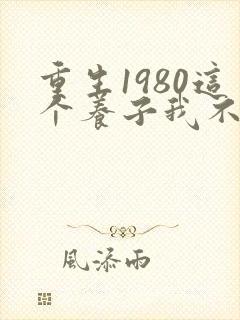 重生1980这个养子我不当了短剧免费观看全集