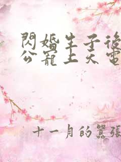 闪婚生子后被老公宠上天电视剧