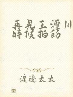 再见王沥川什么时候拍的