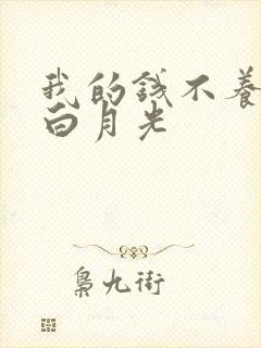 我的钱不养你的白月光