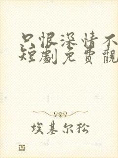 只恨深情不识鸢短剧免费观看