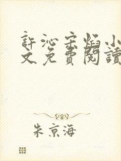 许沁宋焰小说全文免费阅读