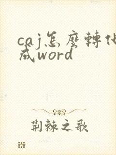 caj怎么转化成word