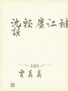 沈轻尘江稚的小说