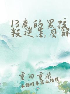 13岁的男孩子叛逆怎么解决