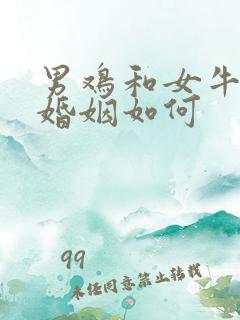 男鸡和女牛相配婚姻如何