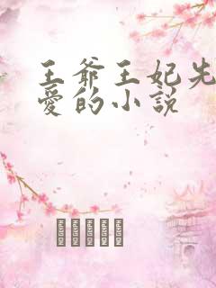 王爷王妃先婚后爱的小说