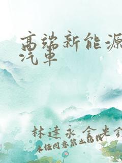 高端新能源电动汽车