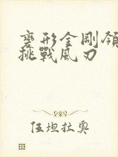 变形金刚领袖的挑战风刃