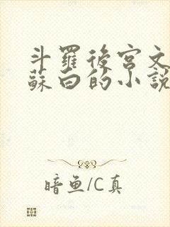 斗罗后宫文主角苏白的小说