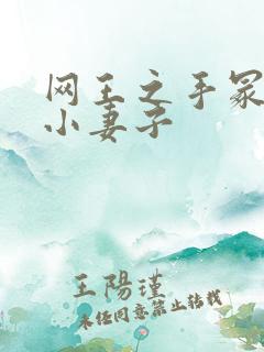 网王之手冢家的小妻子