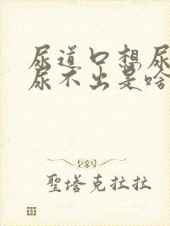尿道口想尿其实尿不出是啥病