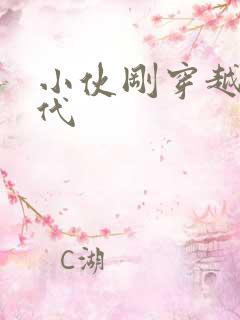 小伙刚穿越到古代