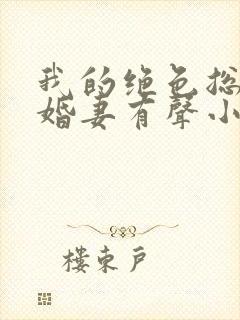 我的绝色总裁未婚妻有声小说